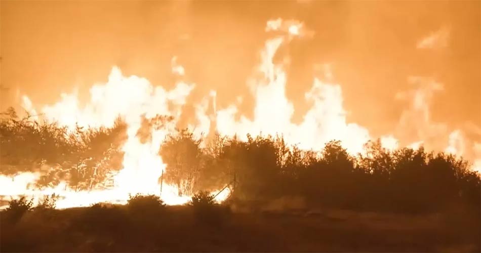 حرائق الغابات